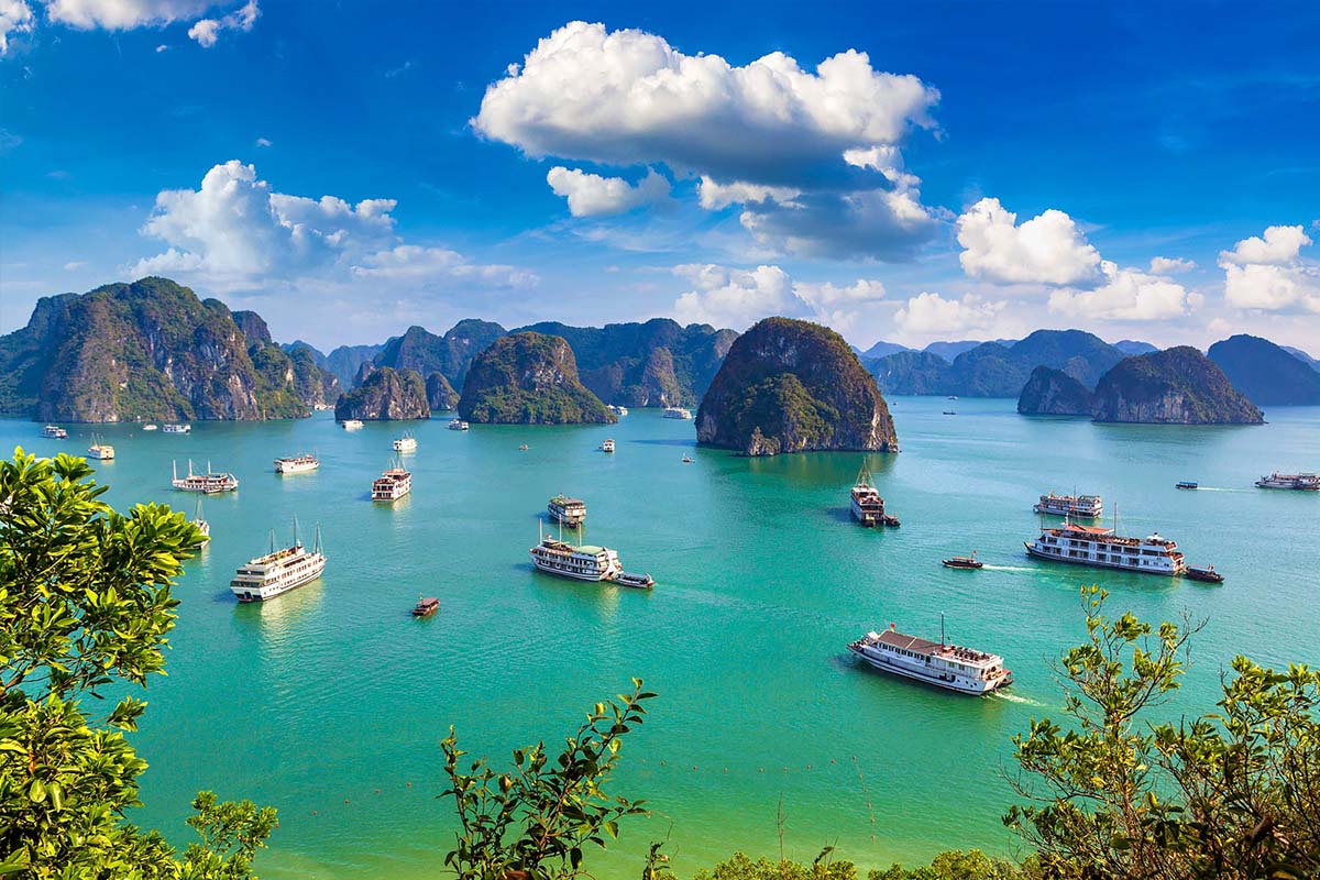 Halong Bay: One of Forbes' Top 24 Travel Picks In 2024